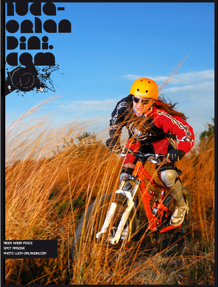 nadia pesce mde damper i-link